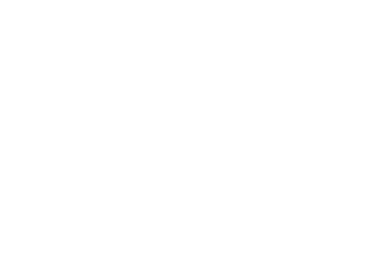 fordwhite2
